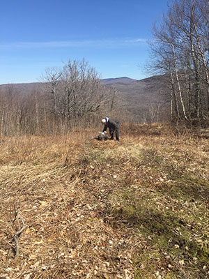 Snow Valley Survey