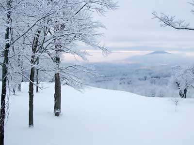 Snow Valley